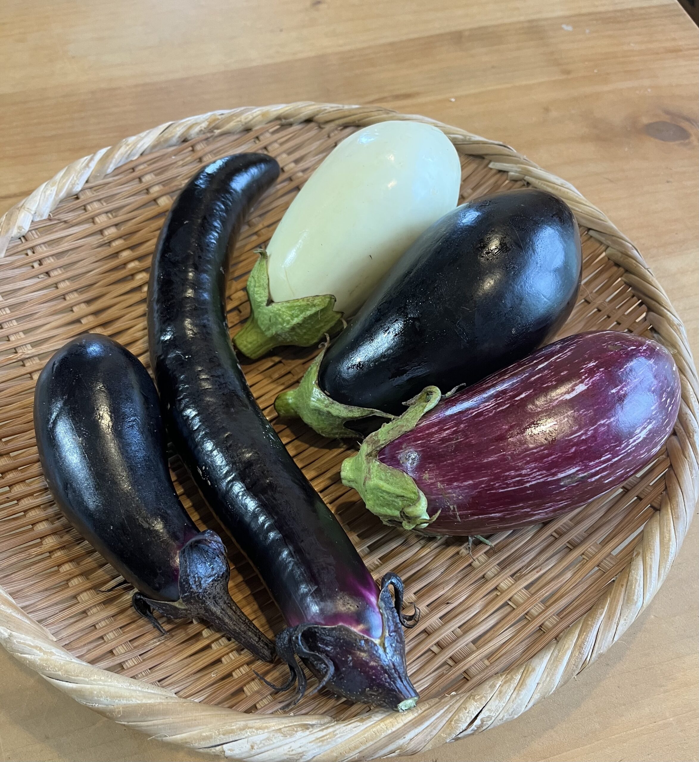 畑で野菜の収穫体験